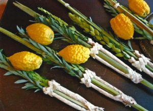 Image result for sukkot pictures
